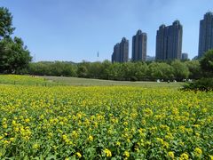 -长白岛森林公园