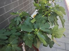 -100家灵感仓库·DIY团建(什刹海店)