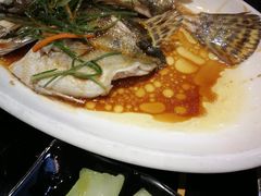 清蒸鲑鱼-破店(井大店)