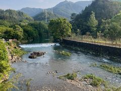 -芦茨金富饭庄·25年老字号·专做稻草鸡