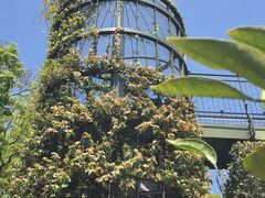 -三鹰之森吉卜力美术馆