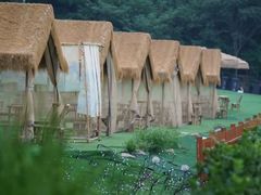 -阳台山自然风景区