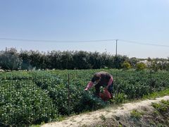 -小鱼草莓采摘园农家乐·小鱼餐厅