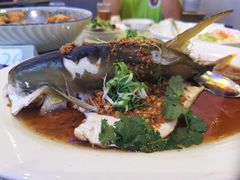 清蒸鱼-翠恒酒家(宴会厅)