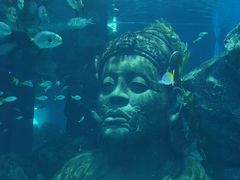-暹罗海洋世界