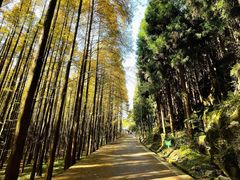 -山王坪喀斯特国家生态公园