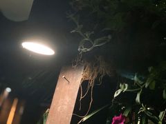 -Local泰莲庭(虹鳟鱼店)