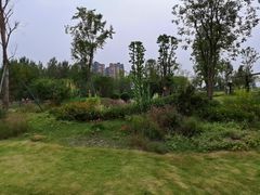 -府河摄影公园