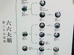 -龙湖重庆时代天街