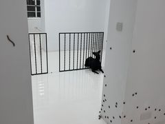 -胶囊画廊