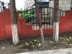 -五月古筝钢琴私塾