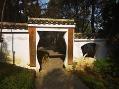 -南山植物园
