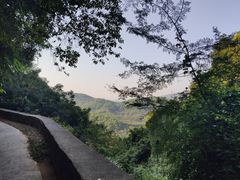 -广州市帽峰山景区