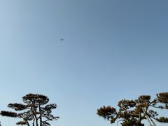 -茯茶镇