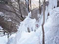 -黑龙潭风景区