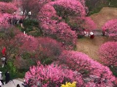 -重庆彩云湖湿地公园