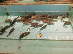 -饭怕鱼(阳光100店)