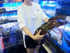 -鼓歌海鲜舫·手抓海鲜(大学城店)
