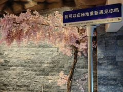 -秘地·影院式足浴SPA(凤三旗舰店)