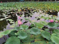 景点-青龙湖公园