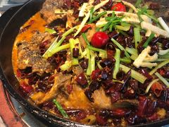 -老板恋上鱼(恒隆广场店)