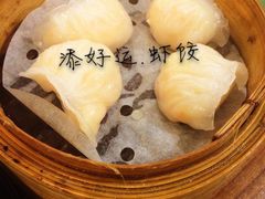 添好运点心专门店(深水埗店)-添好运点心专门店(深水埗店)