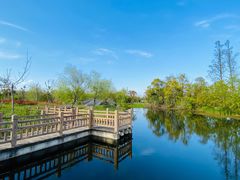 -上海长兴岛郊野公园