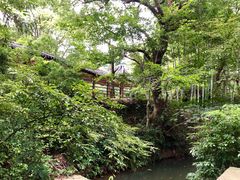 -达蓬山旅游度假区