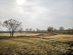 -盘龙城国家考古遗址公园