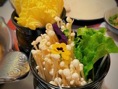 金针菇-刘一锅筋头巴脑(大悦城C店)