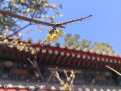 -国家植物园