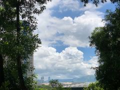 -深圳国际园林花卉博览园