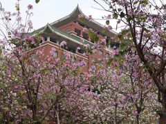 -广州市石门国家森林公园