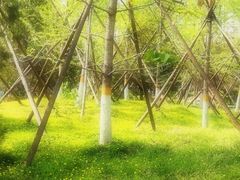 -回龙观体育文化公园