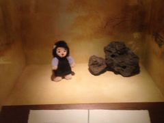 iphone_upload_pic-济州岛泰迪熊博物馆