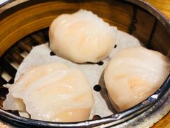 -糖朝(尖沙咀店)