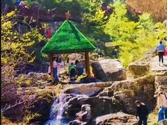 -大平台龙居瀑布旅游区