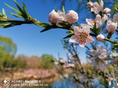 -大兴滨河森林公园
