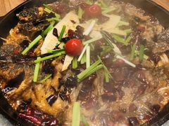 -老板恋上鱼(印象城店)