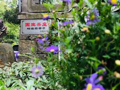 -国生茶庄·地道农家菜团建活动
