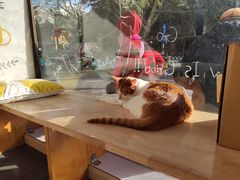 -W Coffee(船板巷店)