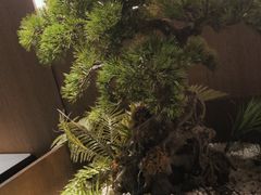 -湘邻呷铺·田园家宴(汉基广场店)