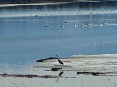 -野鸭湖国家湿地公园