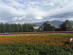 -富田农场