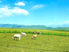 -新疆那拉提国家旅游度假区