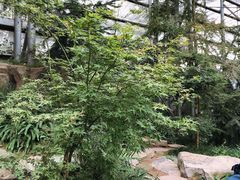 -南山植物园