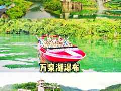-海南霸王岭国家森林公园