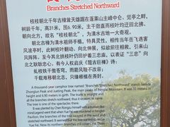 -安溪清水岩