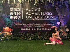 -爱丽丝冒险奇遇记