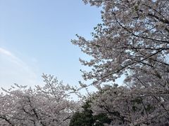 -杭州少年儿童公园